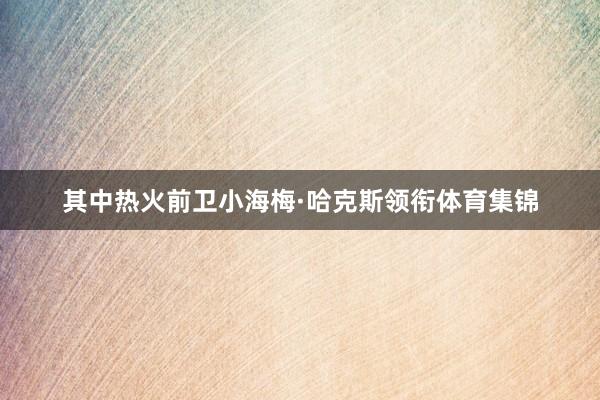 其中热火前卫小海梅·哈克斯领衔体育集锦