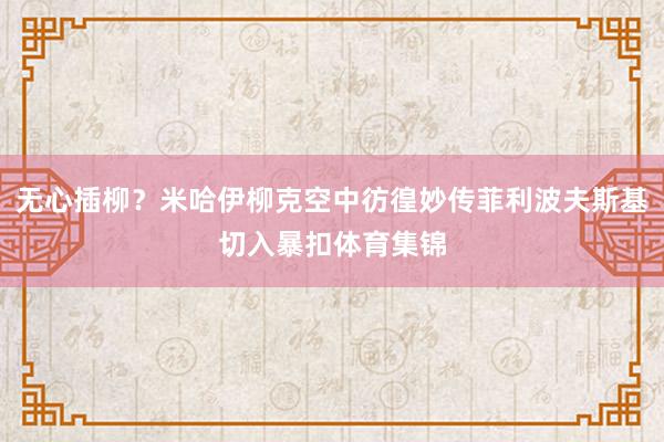 无心插柳？米哈伊柳克空中彷徨妙传菲利波夫斯基切入暴扣体育集锦
