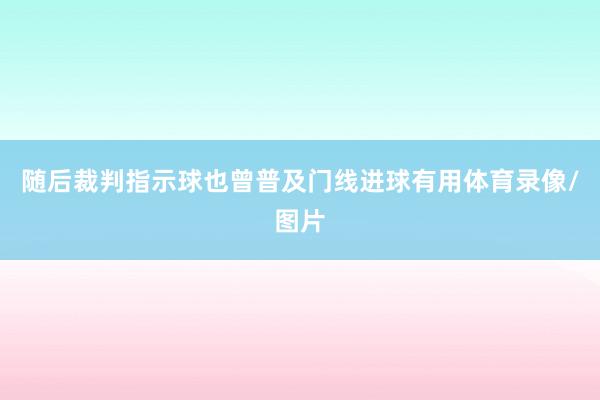 随后裁判指示球也曾普及门线进球有用体育录像/图片