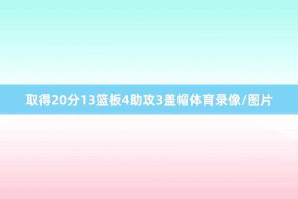 取得20分13篮板4助攻3盖帽体育录像/图片