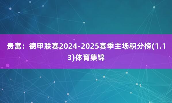 贵寓：德甲联赛2024-2025赛季主场积分榜(1.13)体育集锦