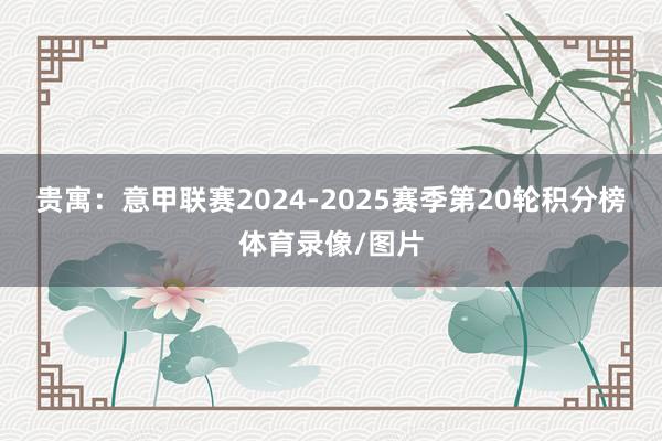 贵寓：意甲联赛2024-2025赛季第20轮积分榜体育录像/图片