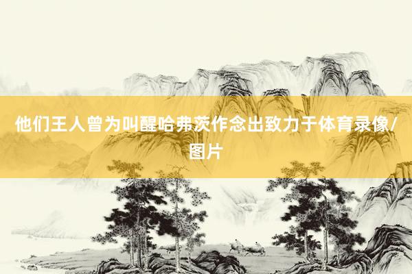 他们王人曾为叫醒哈弗茨作念出致力于体育录像/图片