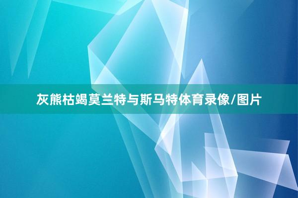 灰熊枯竭莫兰特与斯马特体育录像/图片