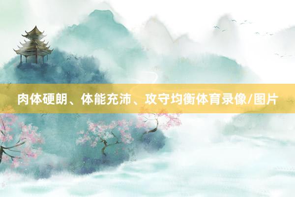 肉体硬朗、体能充沛、攻守均衡体育录像/图片