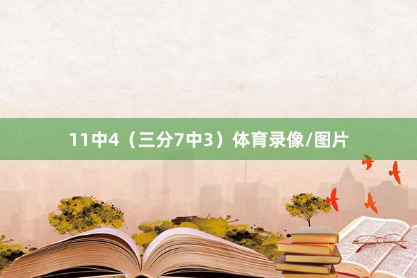 11中4（三分7中3）体育录像/图片
