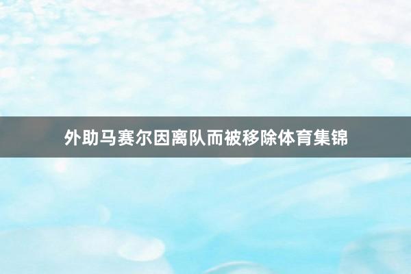 外助马赛尔因离队而被移除体育集锦