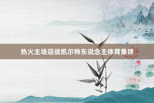 热火主场迎战凯尔特东说念主体育集锦