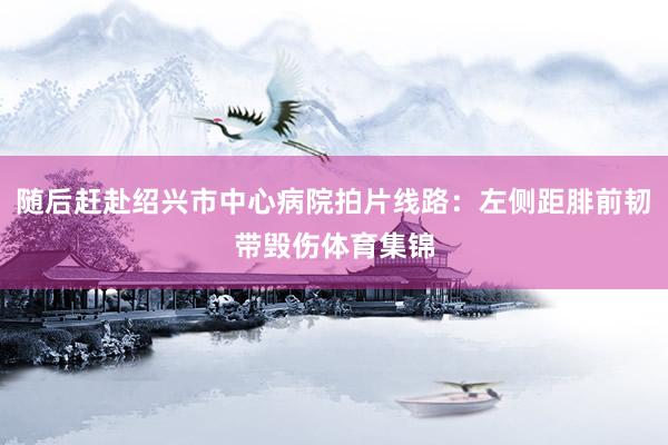 随后赶赴绍兴市中心病院拍片线路：左侧距腓前韧带毁伤体育集锦