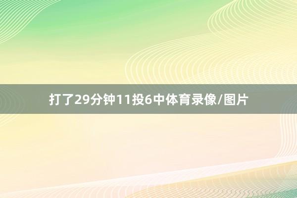 打了29分钟11投6中体育录像/图片