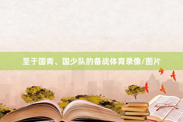 至于国青、国少队的备战体育录像/图片