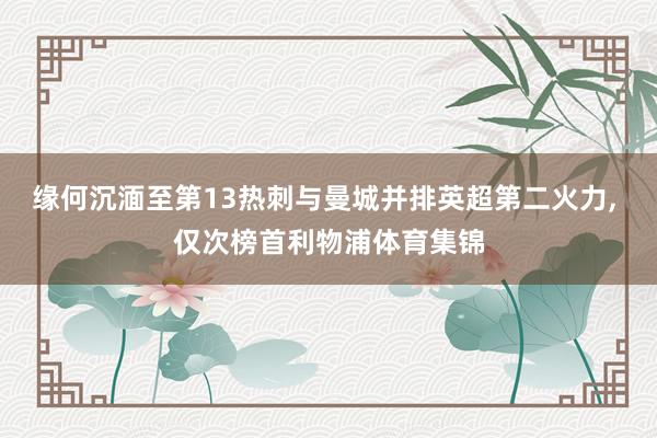 缘何沉湎至第13热刺与曼城并排英超第二火力, 仅次榜首利物浦体育集锦
