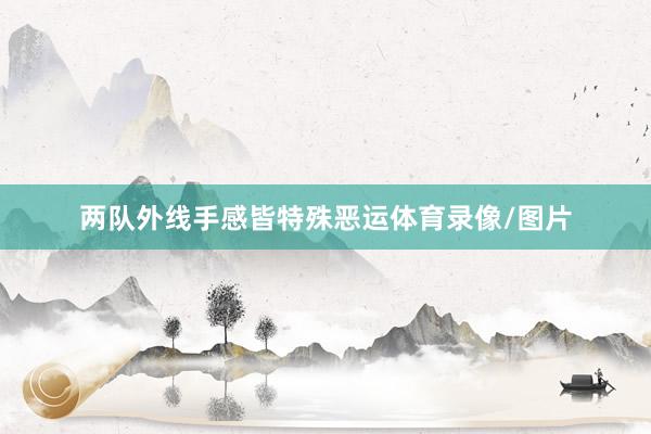 两队外线手感皆特殊恶运体育录像/图片