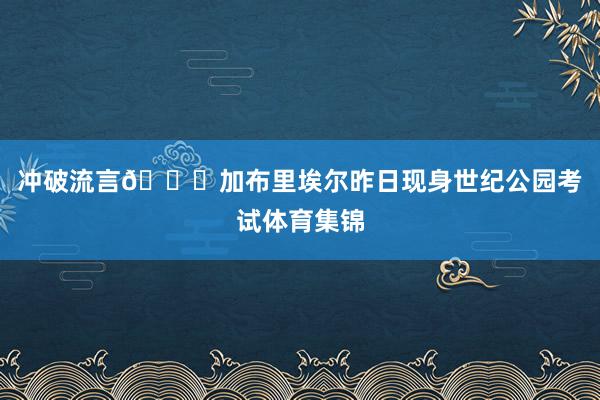 冲破流言👀加布里埃尔昨日现身世纪公园考试体育集锦