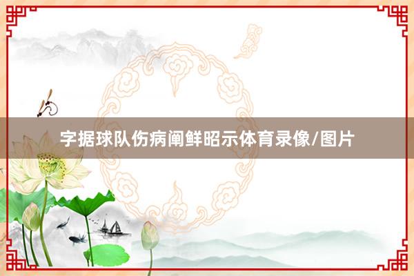 字据球队伤病阐鲜昭示体育录像/图片