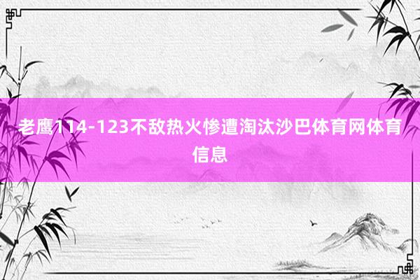 老鹰114-123不敌热火惨遭淘汰沙巴体育网体育信息