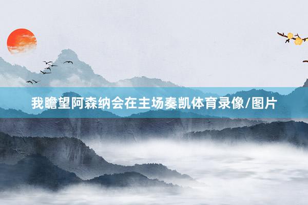 我瞻望阿森纳会在主场奏凯体育录像/图片