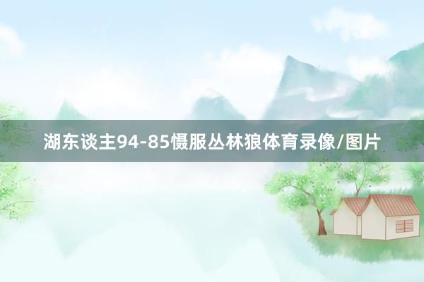 湖东谈主94-85慑服丛林狼体育录像/图片