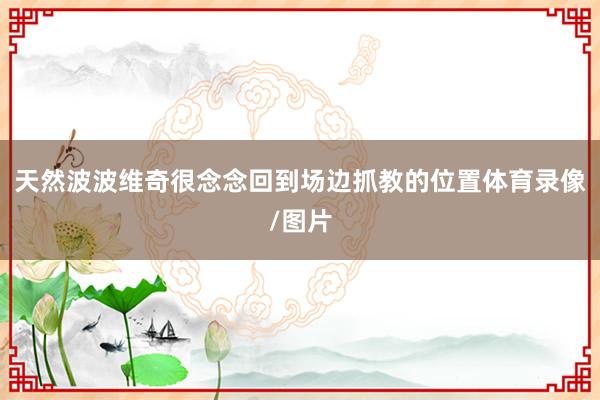 天然波波维奇很念念回到场边抓教的位置体育录像/图片