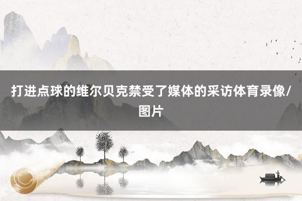 打进点球的维尔贝克禁受了媒体的采访体育录像/图片