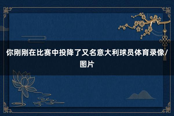 你刚刚在比赛中投降了又名意大利球员体育录像/图片