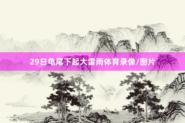 29日龟尾下起大雷雨体育录像/图片