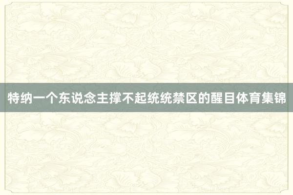 特纳一个东说念主撑不起统统禁区的醒目体育集锦