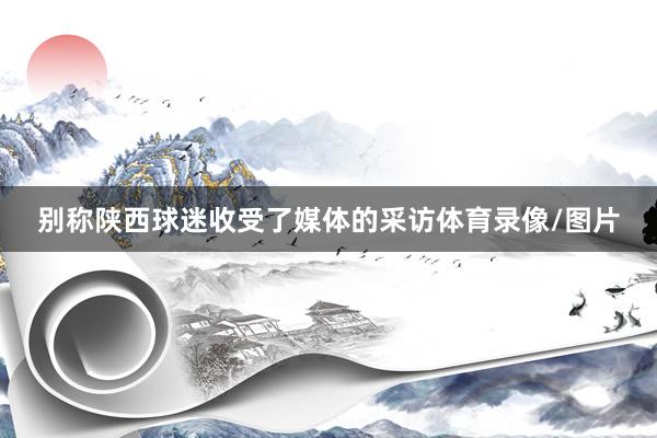 别称陕西球迷收受了媒体的采访体育录像/图片