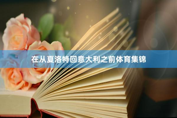 在从夏洛特回意大利之前体育集锦
