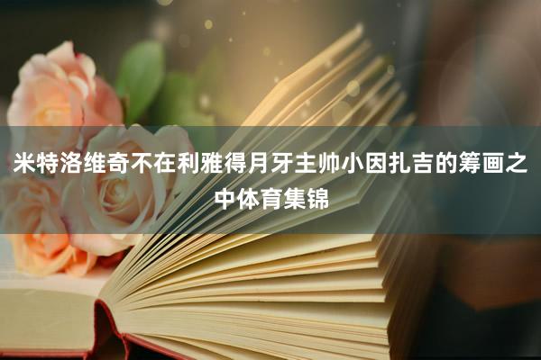 米特洛维奇不在利雅得月牙主帅小因扎吉的筹画之中体育集锦