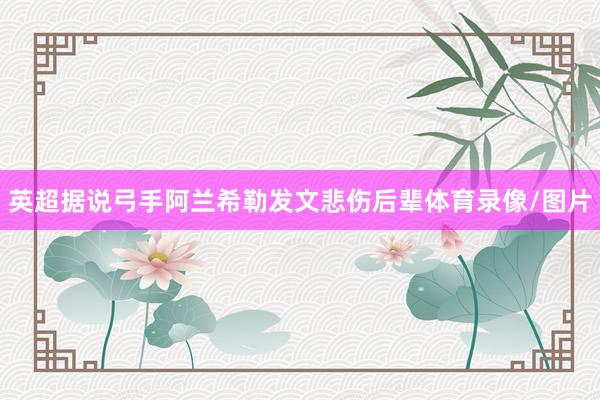 英超据说弓手阿兰希勒发文悲伤后辈体育录像/图片