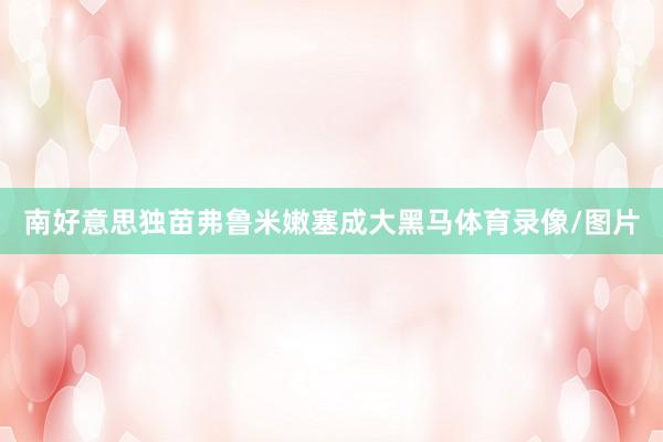 南好意思独苗弗鲁米嫩塞成大黑马体育录像/图片