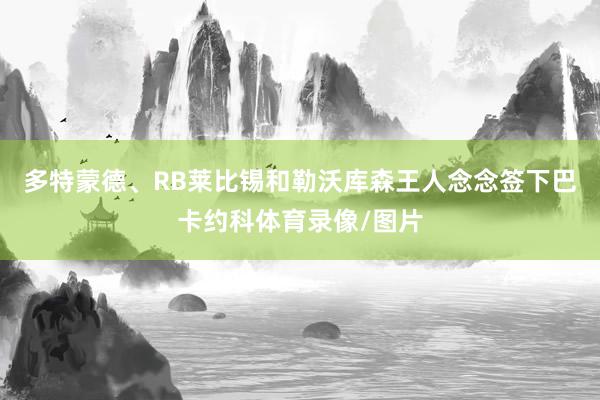 多特蒙德、RB莱比锡和勒沃库森王人念念签下巴卡约科体育录像/图片