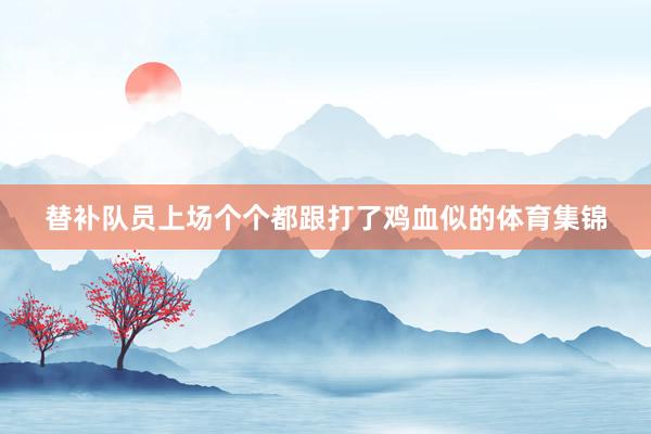替补队员上场个个都跟打了鸡血似的体育集锦