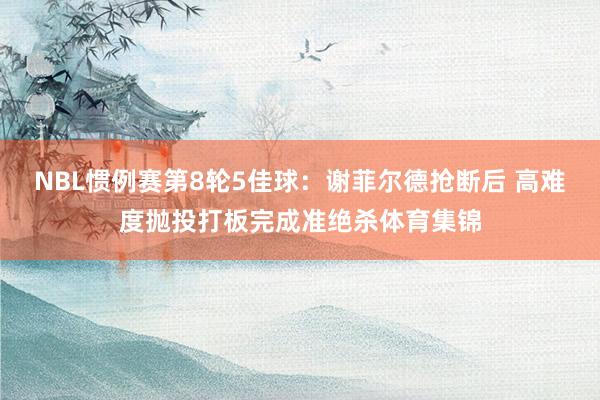 NBL惯例赛第8轮5佳球：谢菲尔德抢断后 高难度抛投打板完成准绝杀体育集锦
