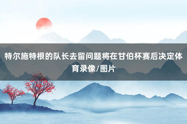 特尔施特根的队长去留问题将在甘伯杯赛后决定体育录像/图片