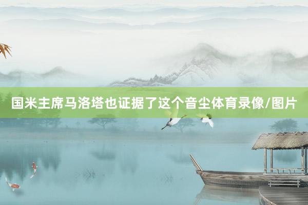 国米主席马洛塔也证据了这个音尘体育录像/图片