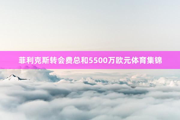 菲利克斯转会费总和5500万欧元体育集锦
