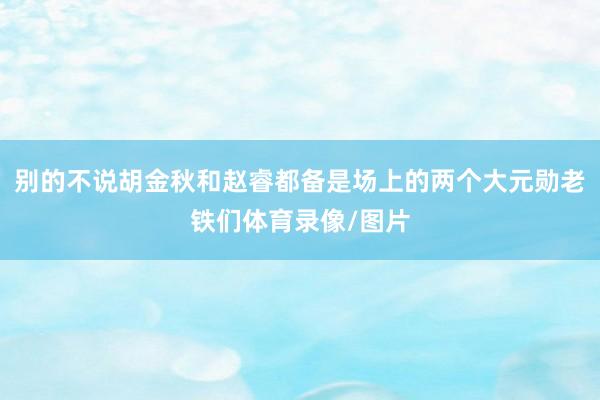 别的不说胡金秋和赵睿都备是场上的两个大元勋老铁们体育录像/图片