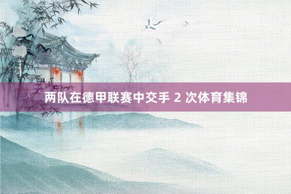 两队在德甲联赛中交手 2 次体育集锦