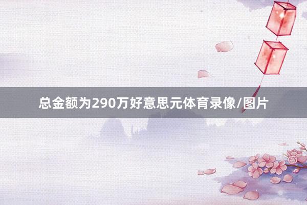 总金额为290万好意思元体育录像/图片