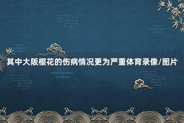 其中大阪樱花的伤病情况更为严重体育录像/图片
