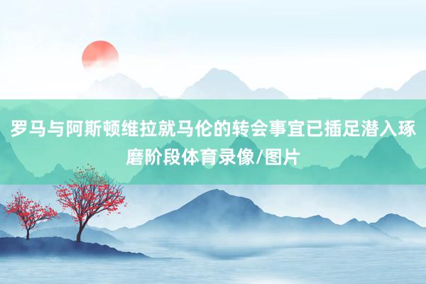 罗马与阿斯顿维拉就马伦的转会事宜已插足潜入琢磨阶段体育录像/图片