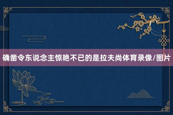 确凿令东说念主惊艳不已的是拉夫尚体育录像/图片