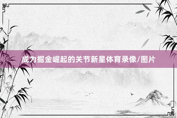 成为掘金崛起的关节新星体育录像/图片