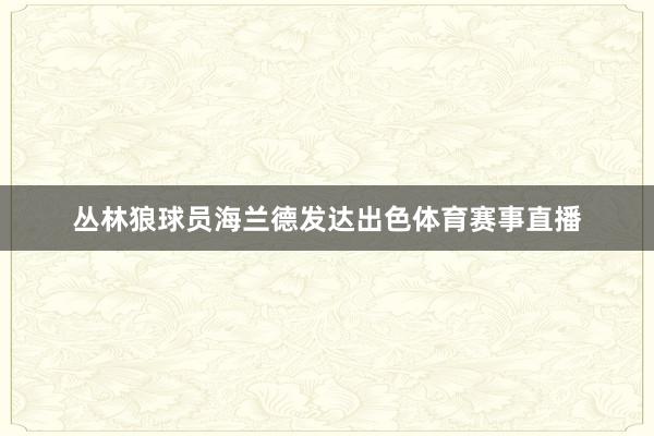 丛林狼球员海兰德发达出色体育赛事直播