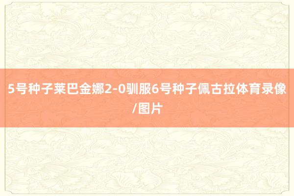 5号种子莱巴金娜2-0驯服6号种子佩古拉体育录像/图片