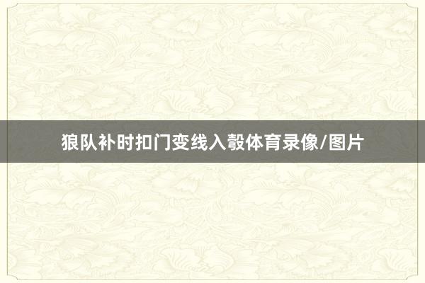狼队补时扣门变线入彀体育录像/图片