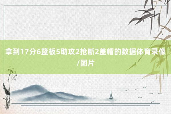 拿到17分6篮板5助攻2抢断2盖帽的数据体育录像/图片