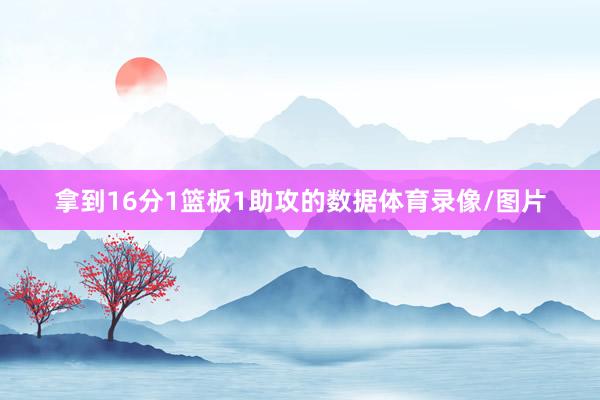 拿到16分1篮板1助攻的数据体育录像/图片